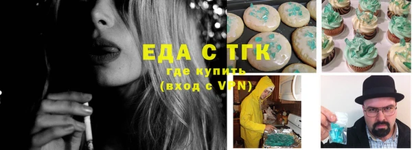индика Алзамай