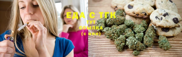 индика Алзамай
