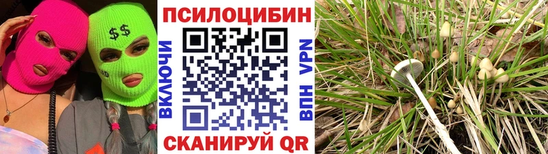 площадка Telegram сколько стоит Калининск Галлюциногенные грибы MAGIC MUSHROOMS